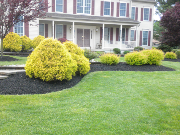 mulching and edging in the front yard